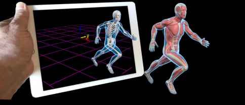 Motion Monitor 生物力學(xué)實(shí)時采集分析平臺