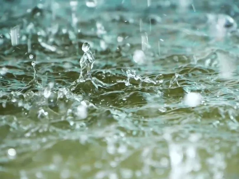 無懼狂風暴雨，有了它積水一招制勝！