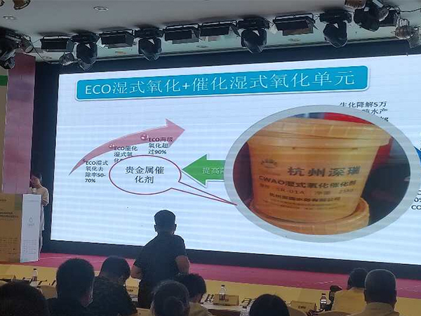 深瑞參加2020年全國工業廢水深度處理新技術供需對接交流研討會