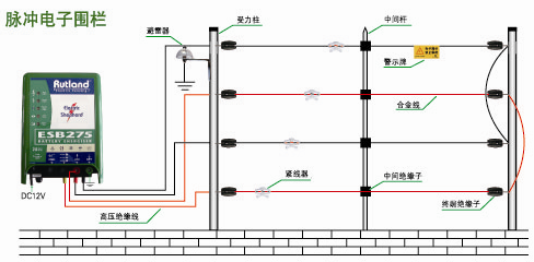 上海歐脈1.png