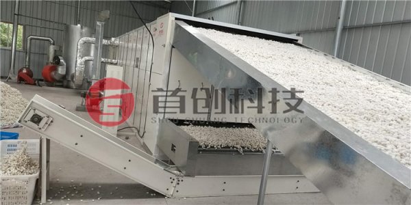 蠶繭烘干機(jī)-全自動(dòng)蠶繭帶式干燥機(jī)-自動(dòng)循環(huán)蠶繭烘干設(shè)備