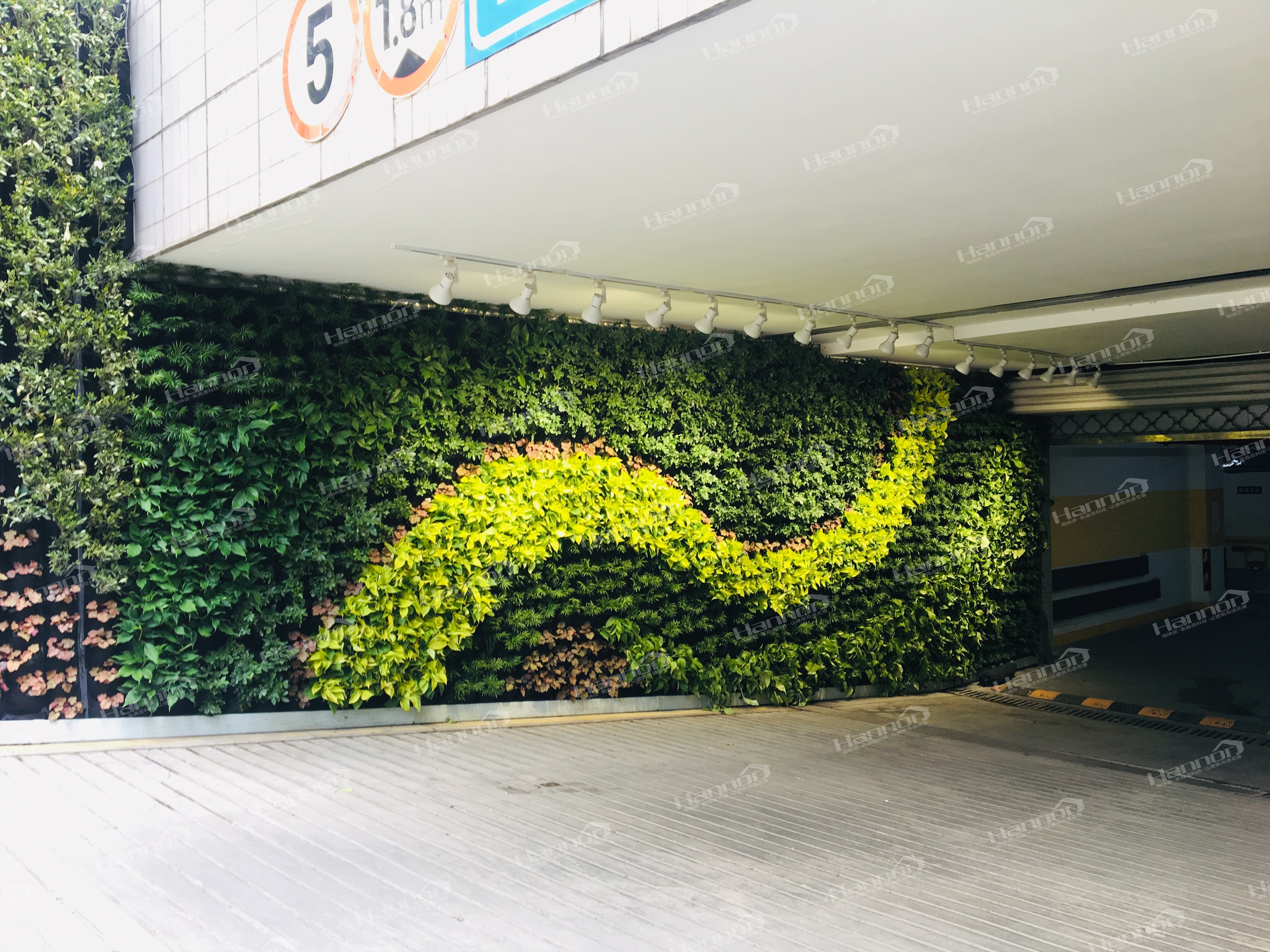 修建植物绿墙的利益