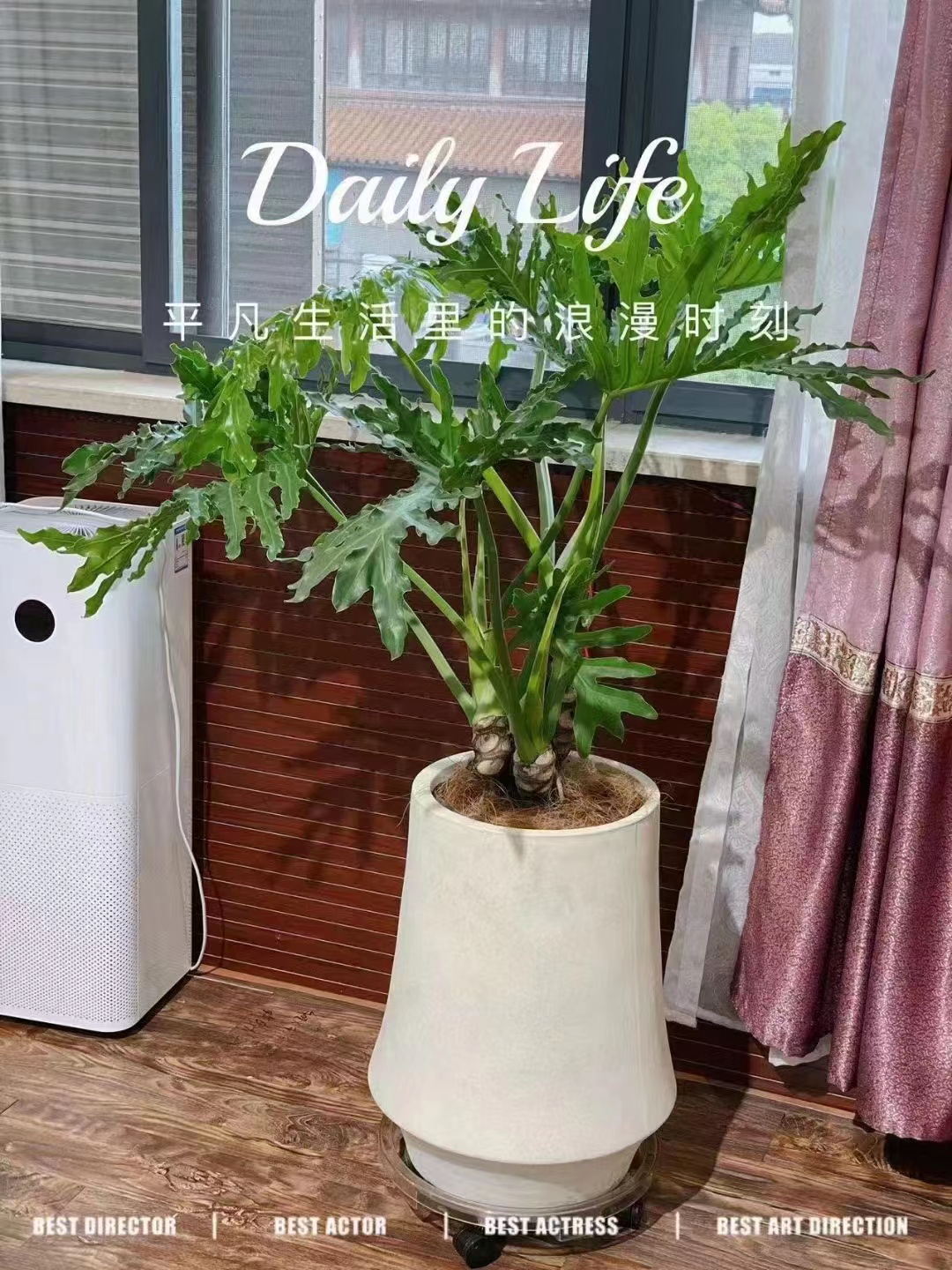 綠植租賃：打造綠色辦公，讓生活與工作共舞