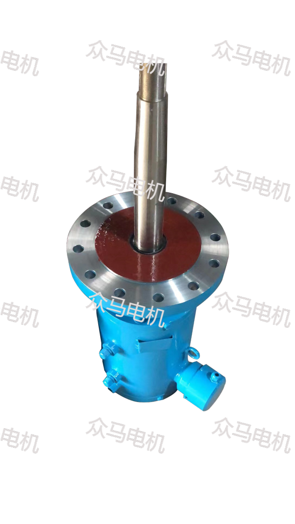 YLRM系列熱處理爐用三相異步電動機(jī)
