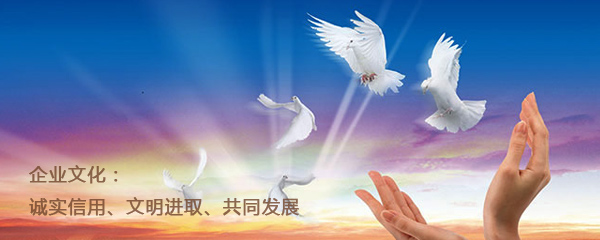 深圳市硅宇電子有限公司-公司文化.jpg