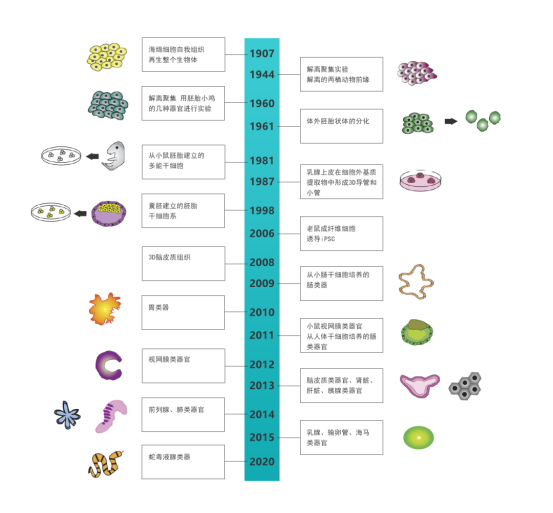 1670294252741.jpg