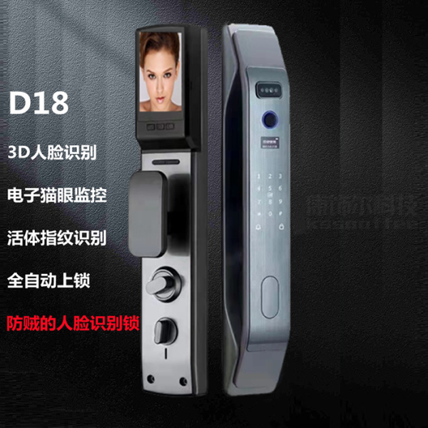 智能门锁D18