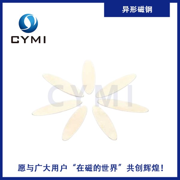 異形磁鋼