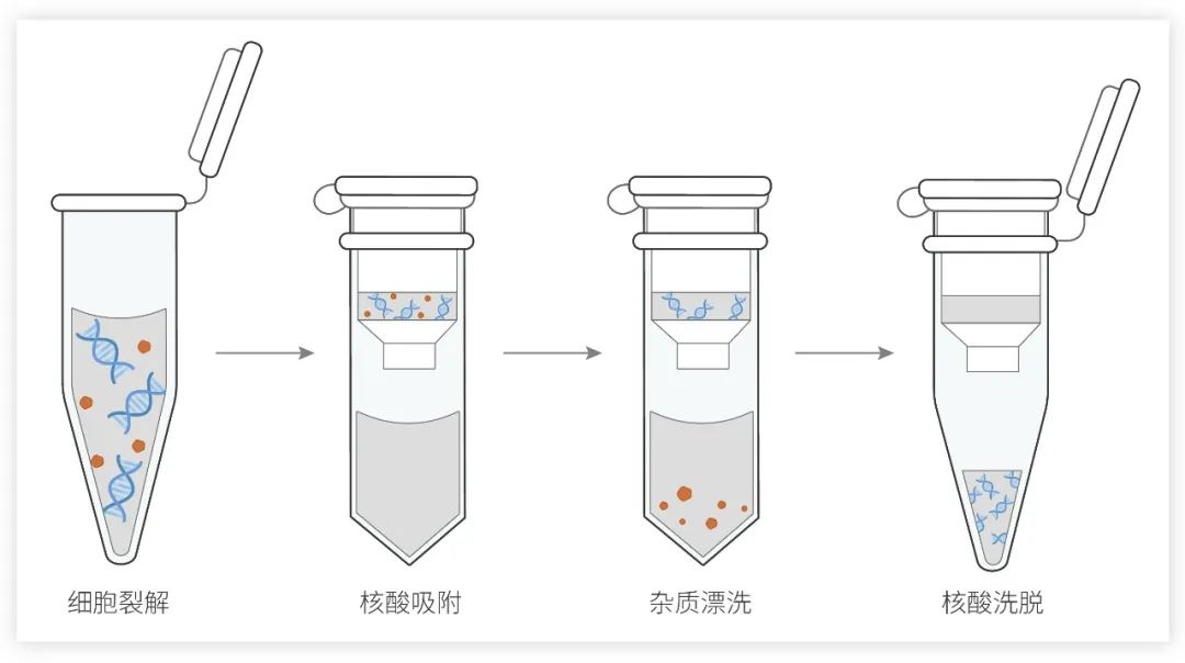 微信圖片_20221212142430.jpg