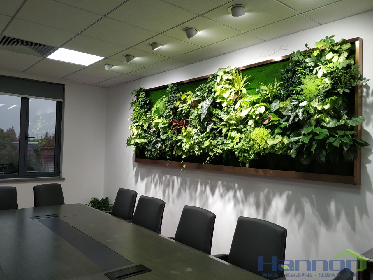 植物墙的妙用