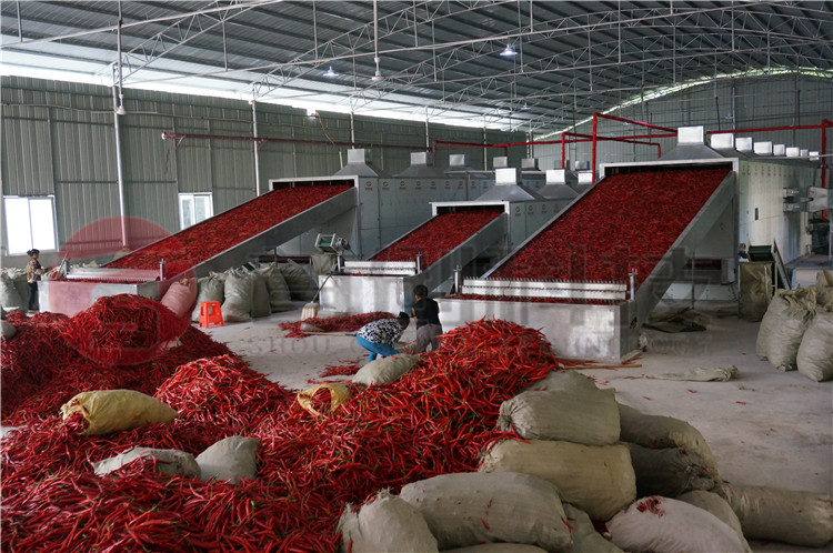 辣椒烘干機(jī).jpg