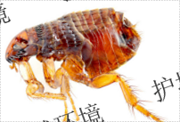 6998965784_96260941310_23F580C5-1D84-4f9a-BF9D-90C1ED451547.png