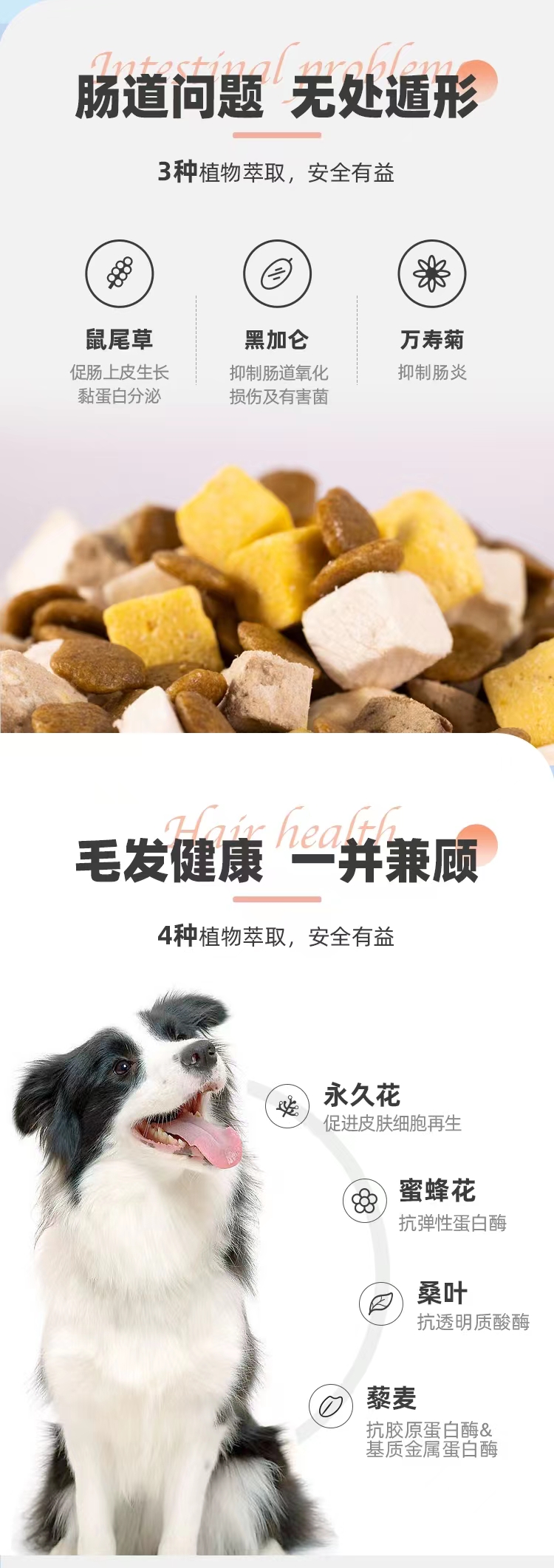 樂摩全價成年期犬糧(腸道+美毛)1.5kg/袋,10kg/袋