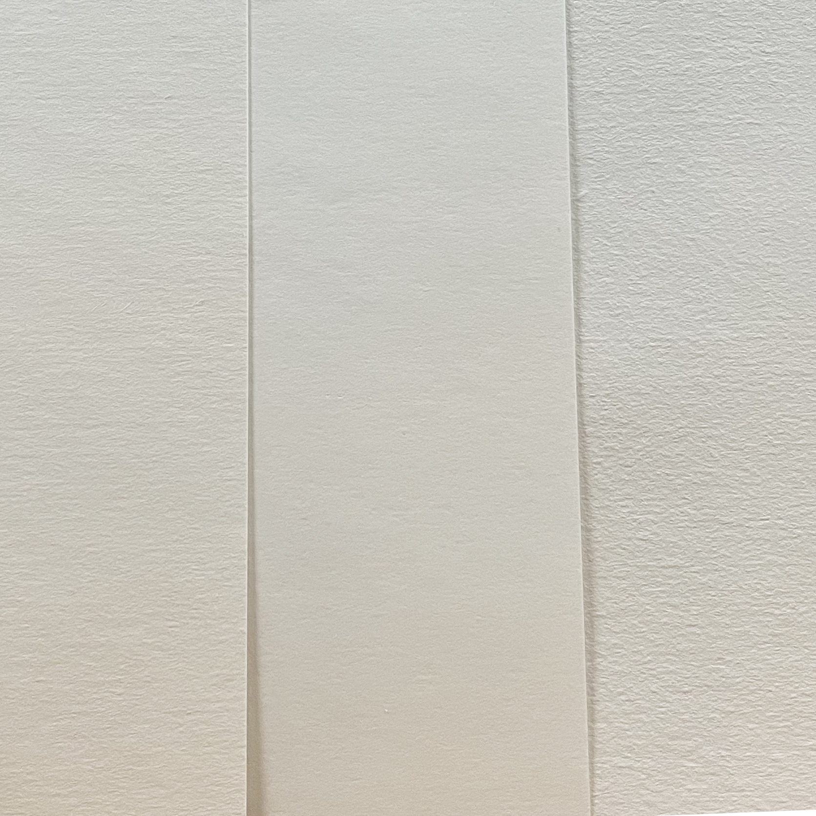 特种吸水纸