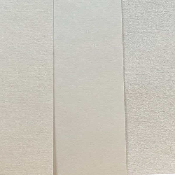 特种吸水纸