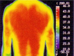 CBD-400遠(yuǎn)紅外粉