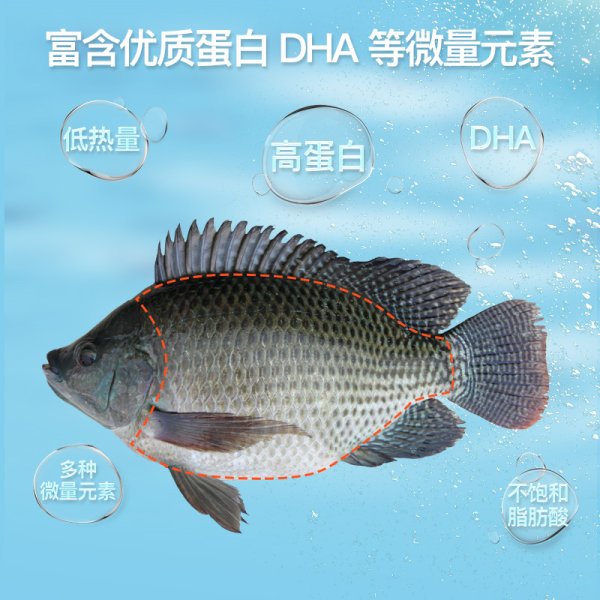 風(fēng)味脆肉羅非魚(yú)干