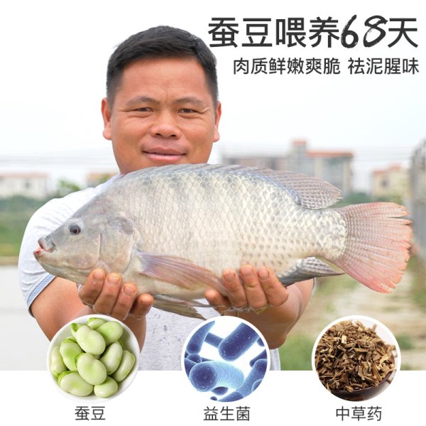 麻辣水煮脆魚