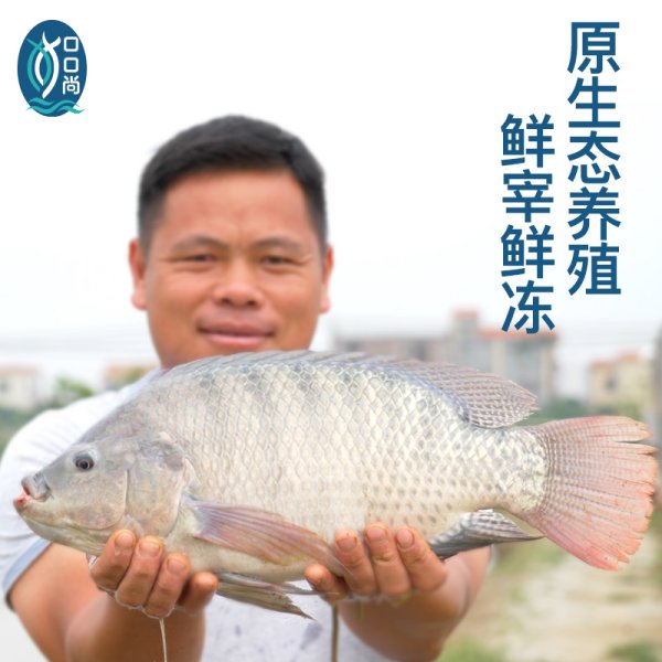 免漿脆肉羅非魚片
