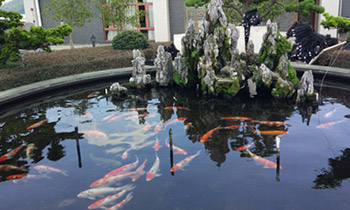 水域景觀的分類及設(shè)計要點