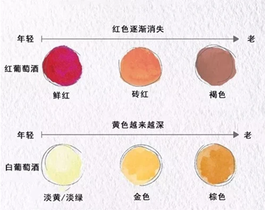 紅酒.png