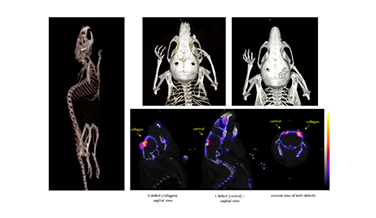 熱烈慶祝Bioemtech “eye TM”系列產品榮獲歐盟卓越獎章！