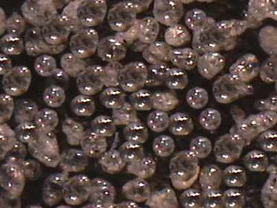 什么是玻化微珠？