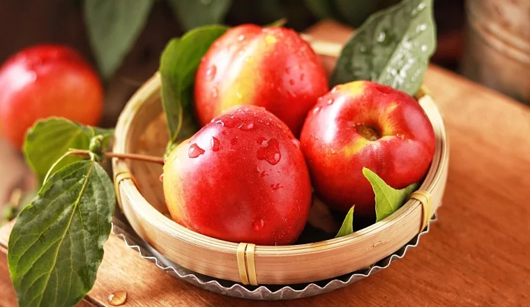 水果行業(yè)智慧分選