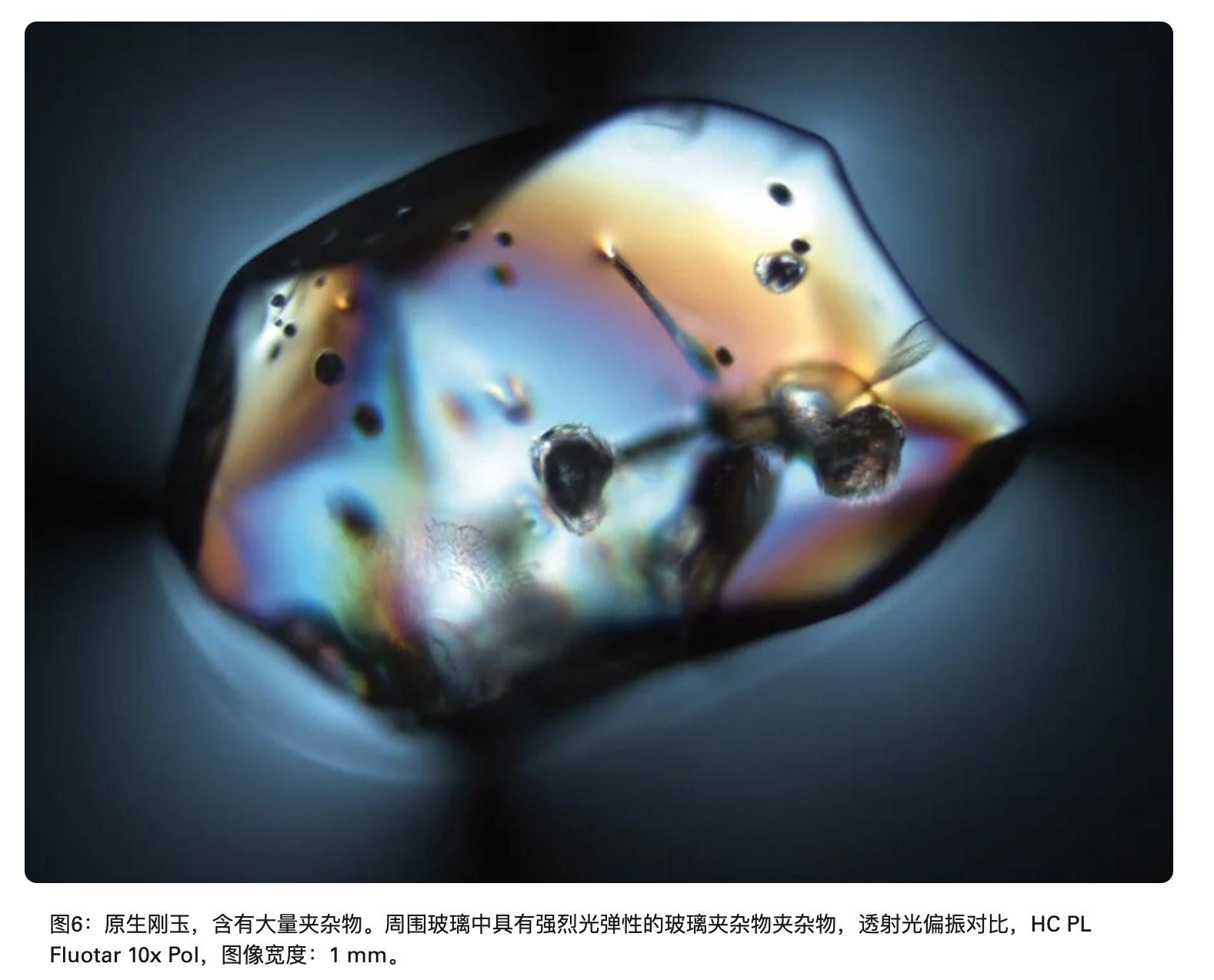 徕卡偏光显微镜 DM2700P DM4P 图8