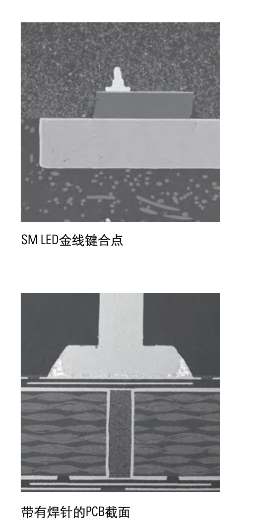 LEICAEMTXP&EMTIC3X