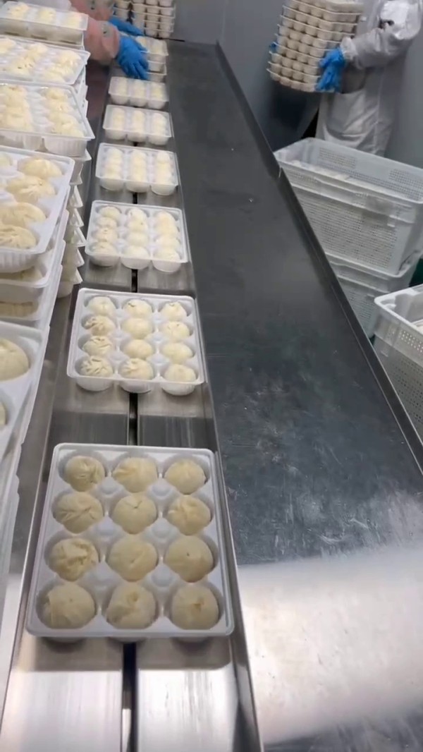 YC600W全智能伺服往復式包裝機