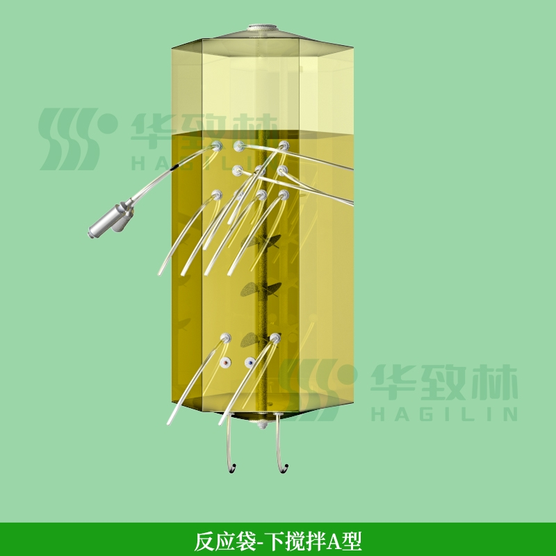 生物反应袋(用于细胞/微生物培养)
