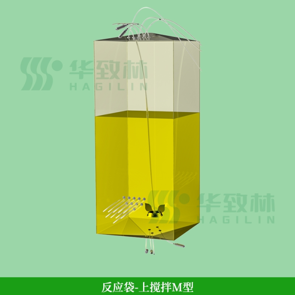 生物反应袋(用于细胞/微生物培养)