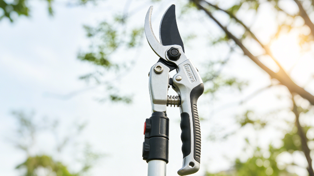 衡水高碳鋼高枝剪專賣店 信息推薦 衡水嘉卉園林綠化工程供應(yīng);