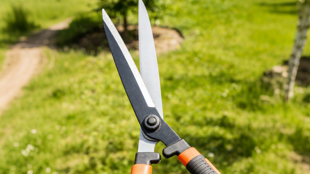 武強通常高枝剪服務熱線 誠信經營 衡水嘉卉園林綠化工程供應