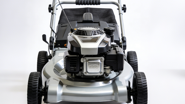 專業(yè)割草機(jī)推薦 推薦咨詢 衡水嘉卉園林綠化工程供應(yīng)