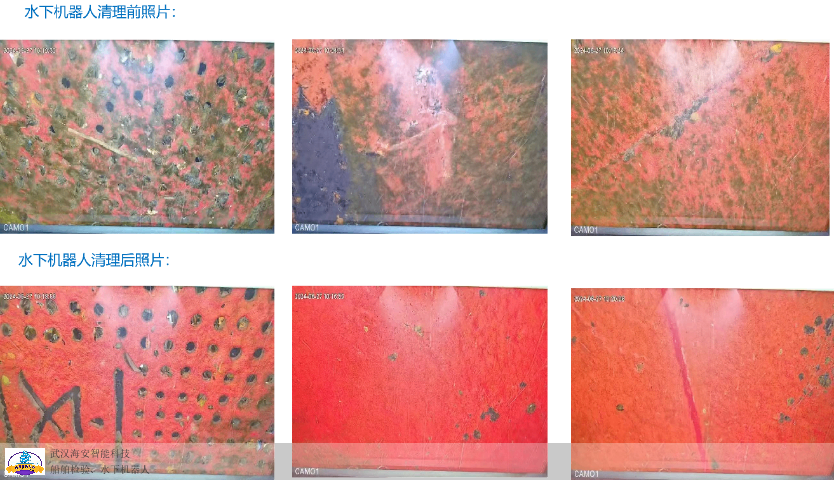 天津自主巡航水下船检机器人市场价,水下船检机器人