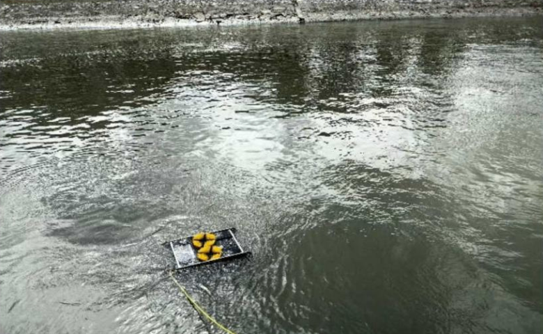 辽宁智慧水下机器人有什么