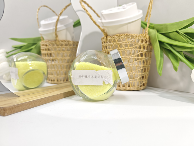 寧夏酸酐化牛乳球蛋白提取工藝 廣東筑美生物醫(yī)療科技供應;