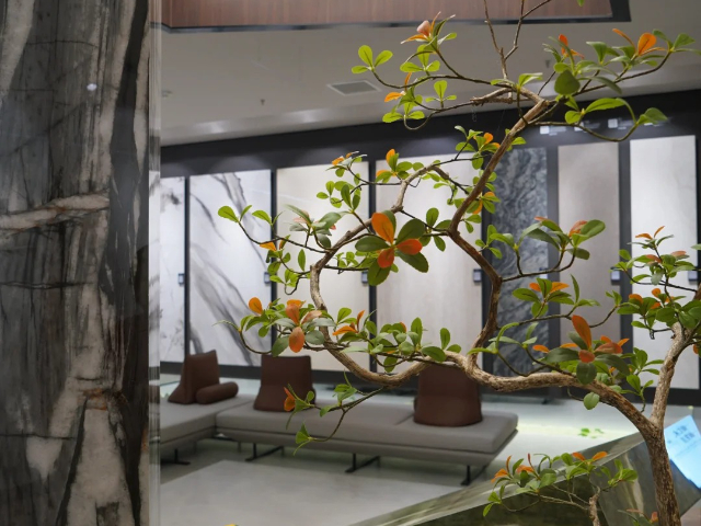 江蘇全屋巖板大概價格多少