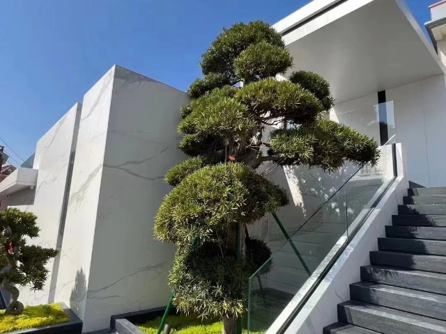 浙江進口巖板供應商,巖板