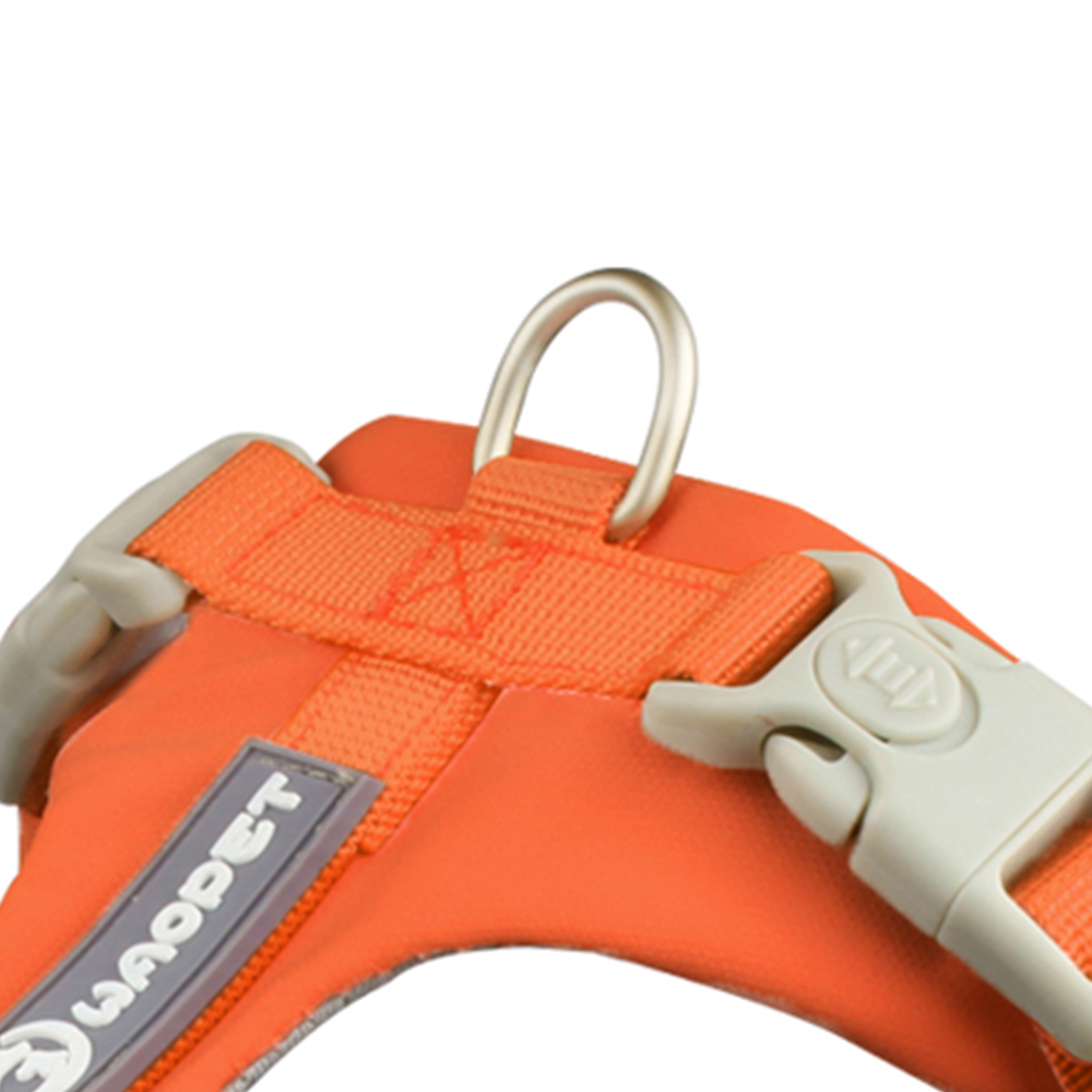 dog harness and leash set