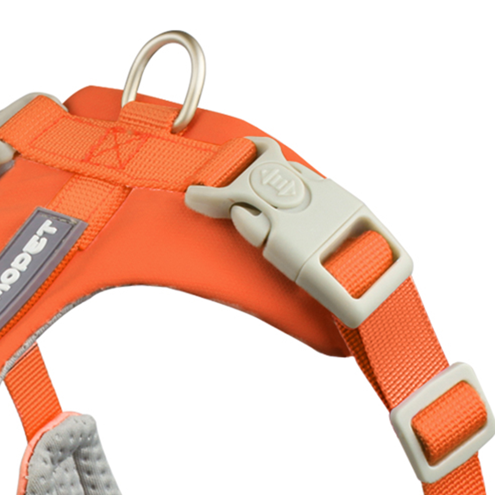 dog harness and leash set
