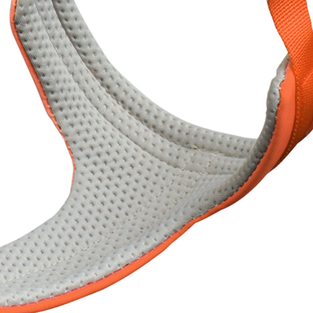 dog harness and leash set