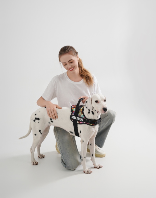 79002b0be2ab8141a14ce0c248cf9255