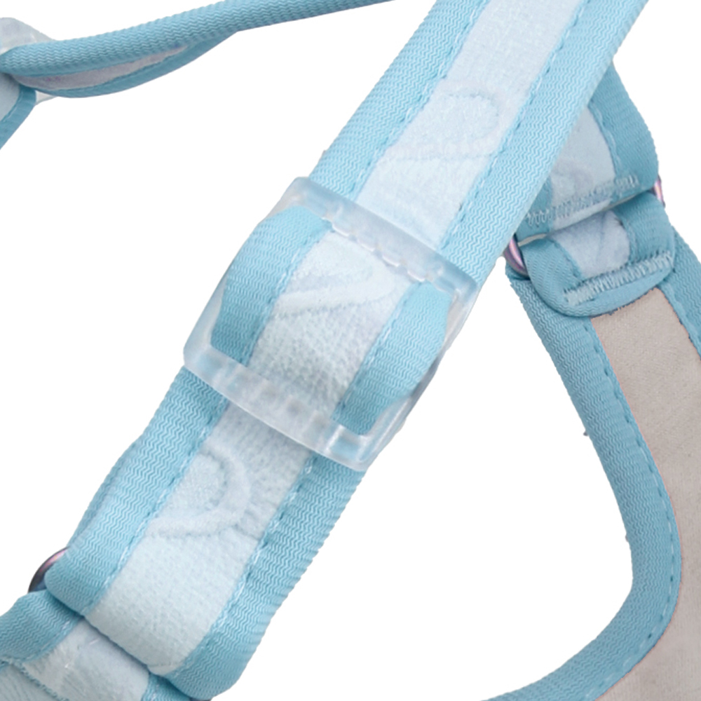 dog harness and leash set