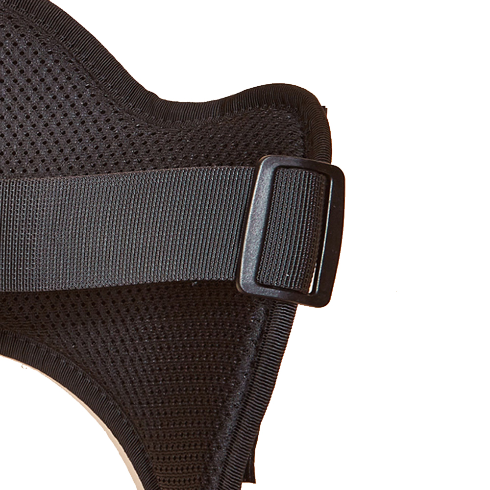 geometric dog harness and leash set