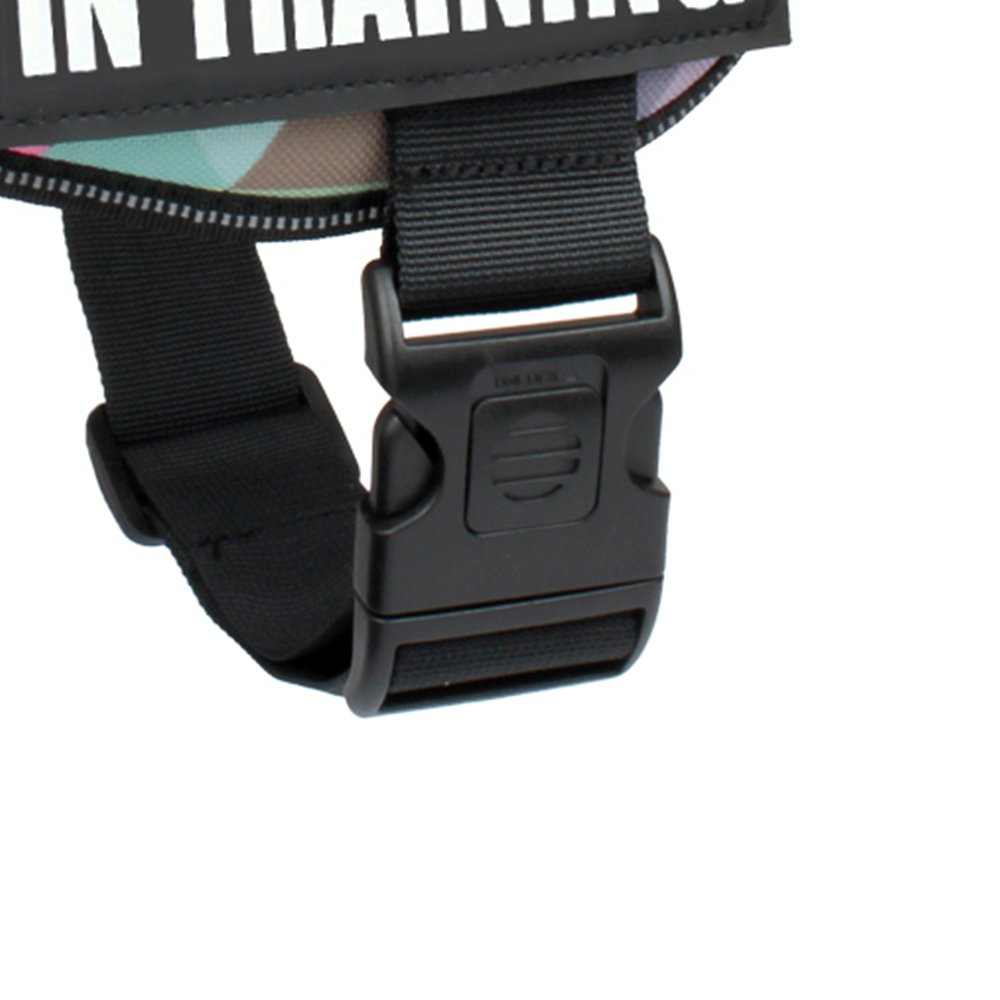 geometric dog harness and leash set