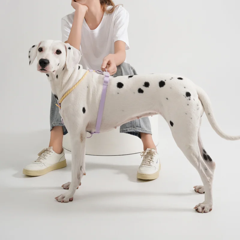 lightweight reflective dog harnesses lightweight reflective dog harnesses