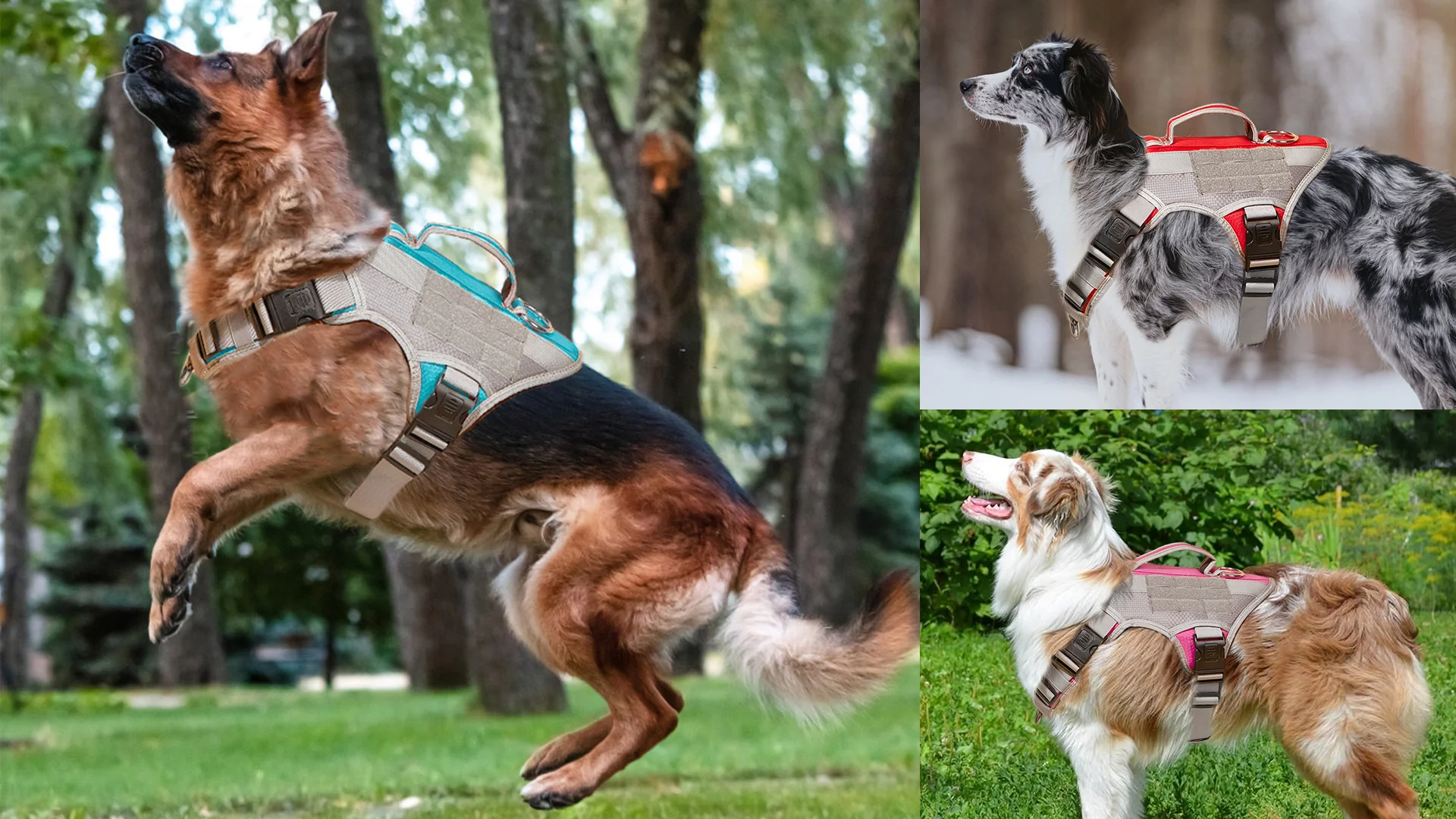 976c073dbb2c24e61cfd17f321235ad6